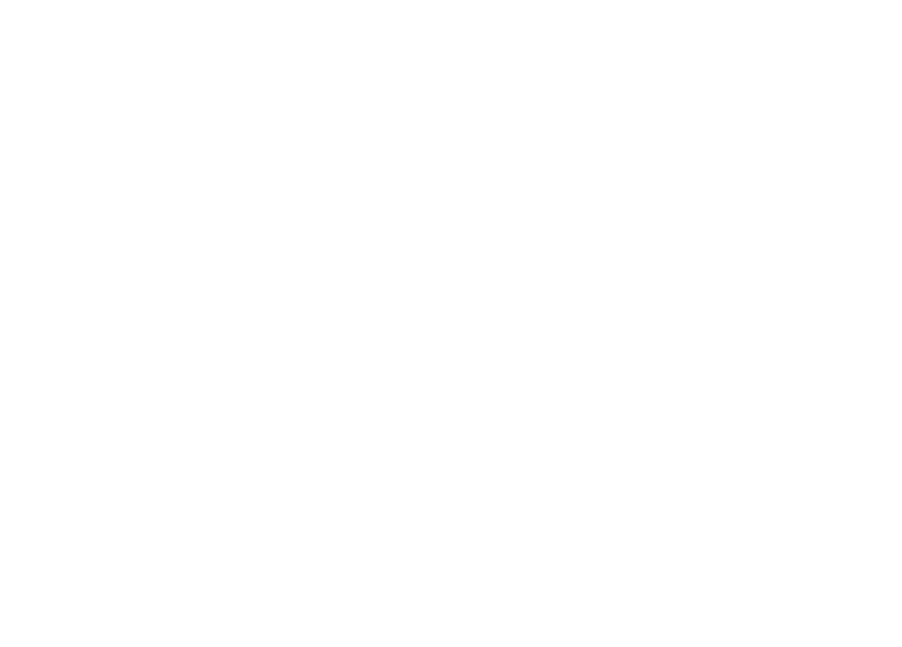 HDT Print